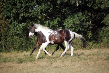 <b>H&eacute;lios, 2 ans, ao&ucirc;t 2019</b>                                                               